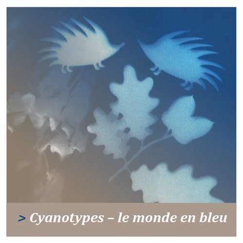 cyanotype